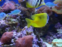 DSC01274 (Kopiowanie)