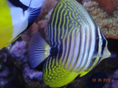 DSC01281 (Kopiowanie)