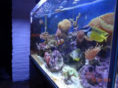 DSC01285 (Kopiowanie)