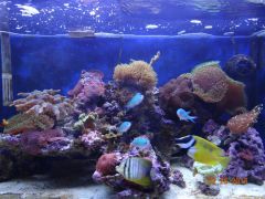 DSC01282 (Kopiowanie)