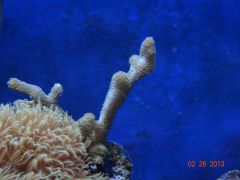 DSC01280 (Kopiowanie)