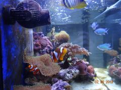 DSC01283 (Kopiowanie)