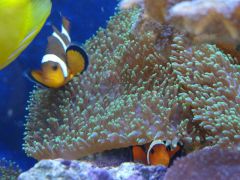 DSC01297 (Kopiowanie)