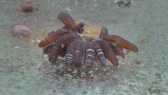 IMG 20150902 221348 Hdr edit