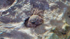 IMG 20150907 065420 Hdr edit