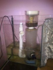 1250 odpieniacz peni