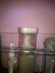 950 wywalolo duzo piany