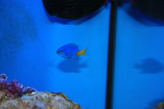 IMG 7815