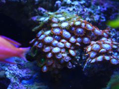 P1010465