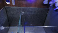 wyciszenie sumpa ścianki