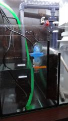 automatyczna dolewka