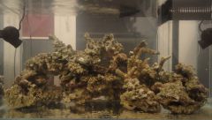 ułożenie skały front