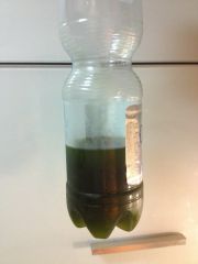 zagęszczone z 1,5 litra fito