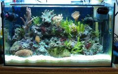 Pierwsze morskie 64 L :)