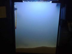 Mleko Po wsypaniu piasku 1