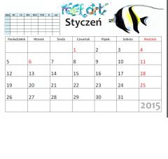 kalendarz styczen idolek