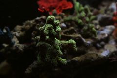 IMG 3076