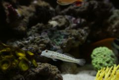 IMG 3084