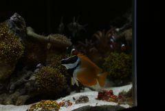 IMG 3094