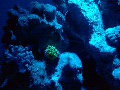 2013 10 02 20.37.41
