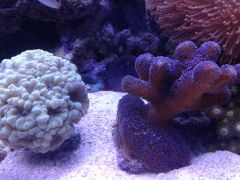 20150203 153933
