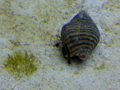 Leicester 20131115 00405