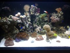 baniaczek po 3 miesiącach