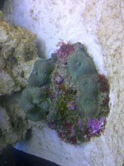 Leicester 20131101 00358