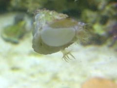 Leicester 20131115 00397