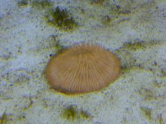 Leicester 20131115 00408