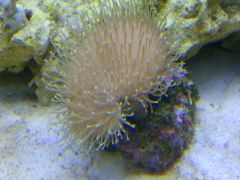 Leicester 20131115 00406