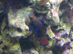 Charnwood 20140504 00714