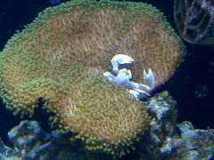 Leicester 20140504 00711