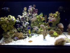 Leicester 20131216 00469