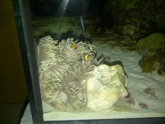 Leicester 20131208 00461 1