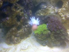 Leicester 20131021 00328