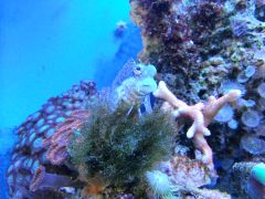 Tmp 20131001 102416 1591412414