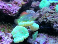 20130712 1749511841679083