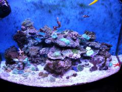 słabe bo z telefonu fotka ale cos tam widac :-)