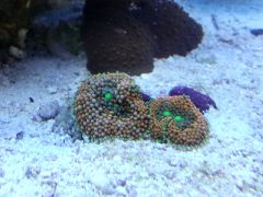 Tmp 20130526 150616 HDR1698633550