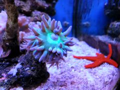 20130923 1740571841679083