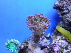 20130805 175140178762021