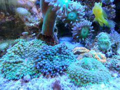 Tmp 20131001 102356 1616573007