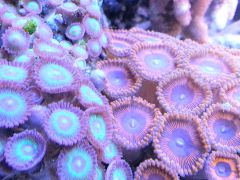 20130923 1745451296920185