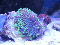 20130923 173455178762021