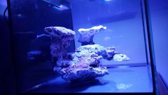 150 L OW .