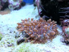 20130712 174706 1616573007