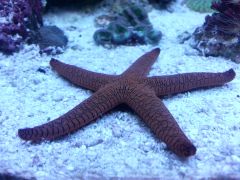 20130421 094457 HDR 668680872