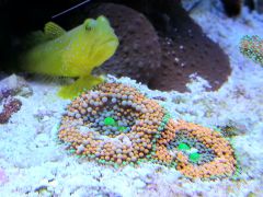 20130712 174226 1591412414