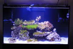 300l morskiej przygody